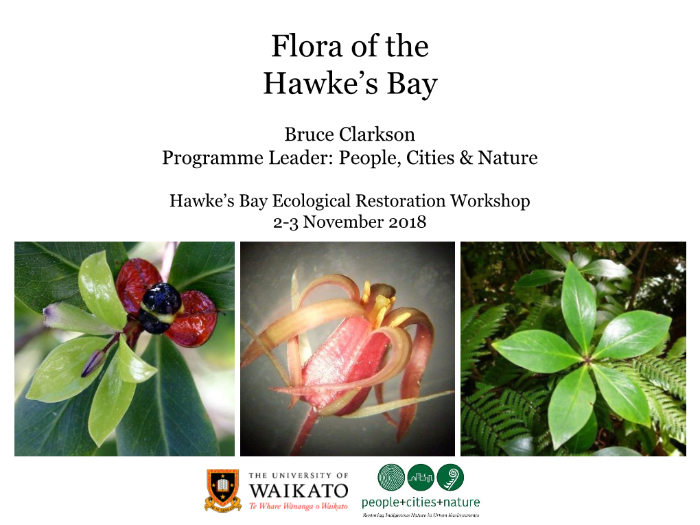 Flora of the Hawke's