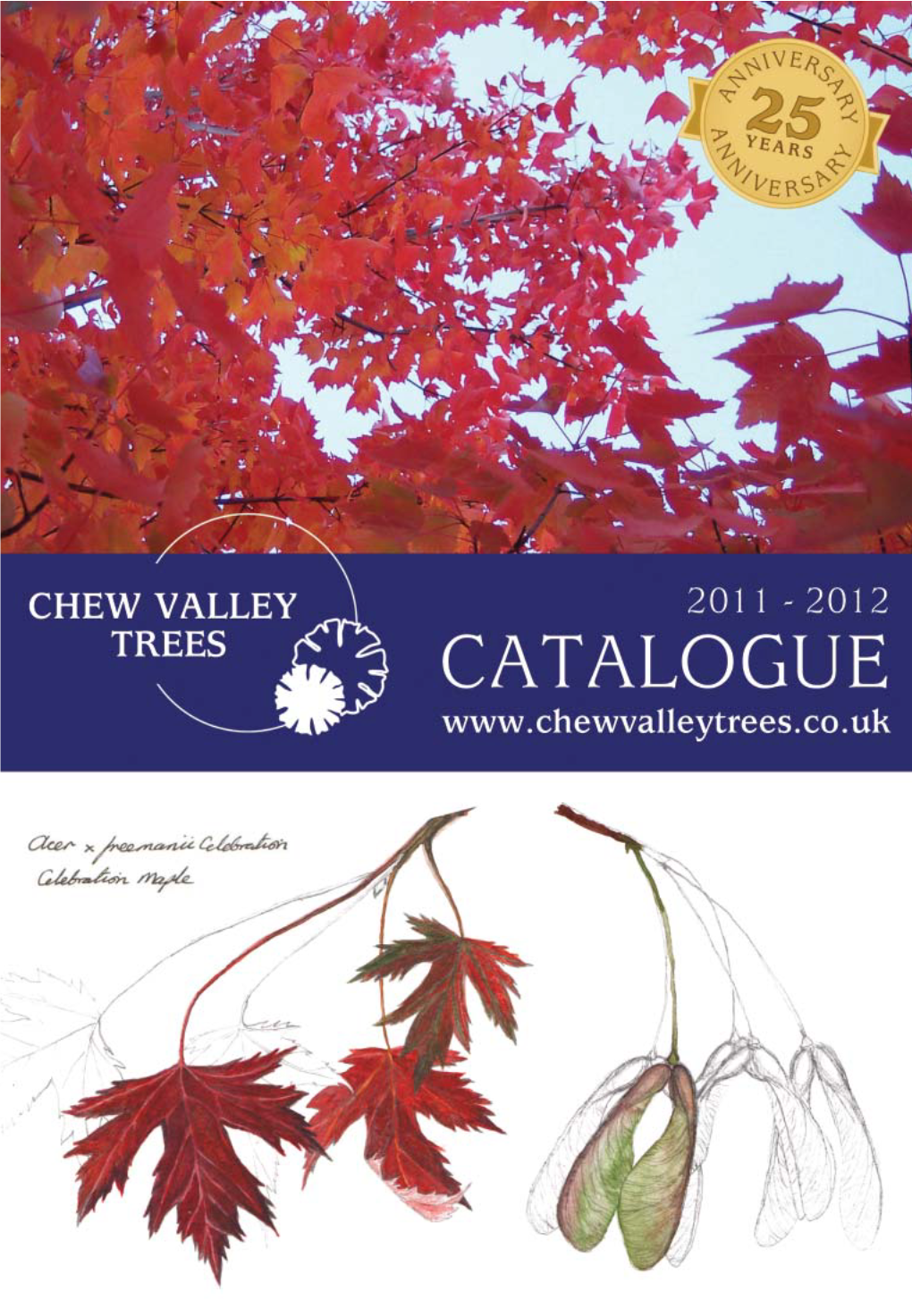 Chew Valley Trees 2011.Pdf