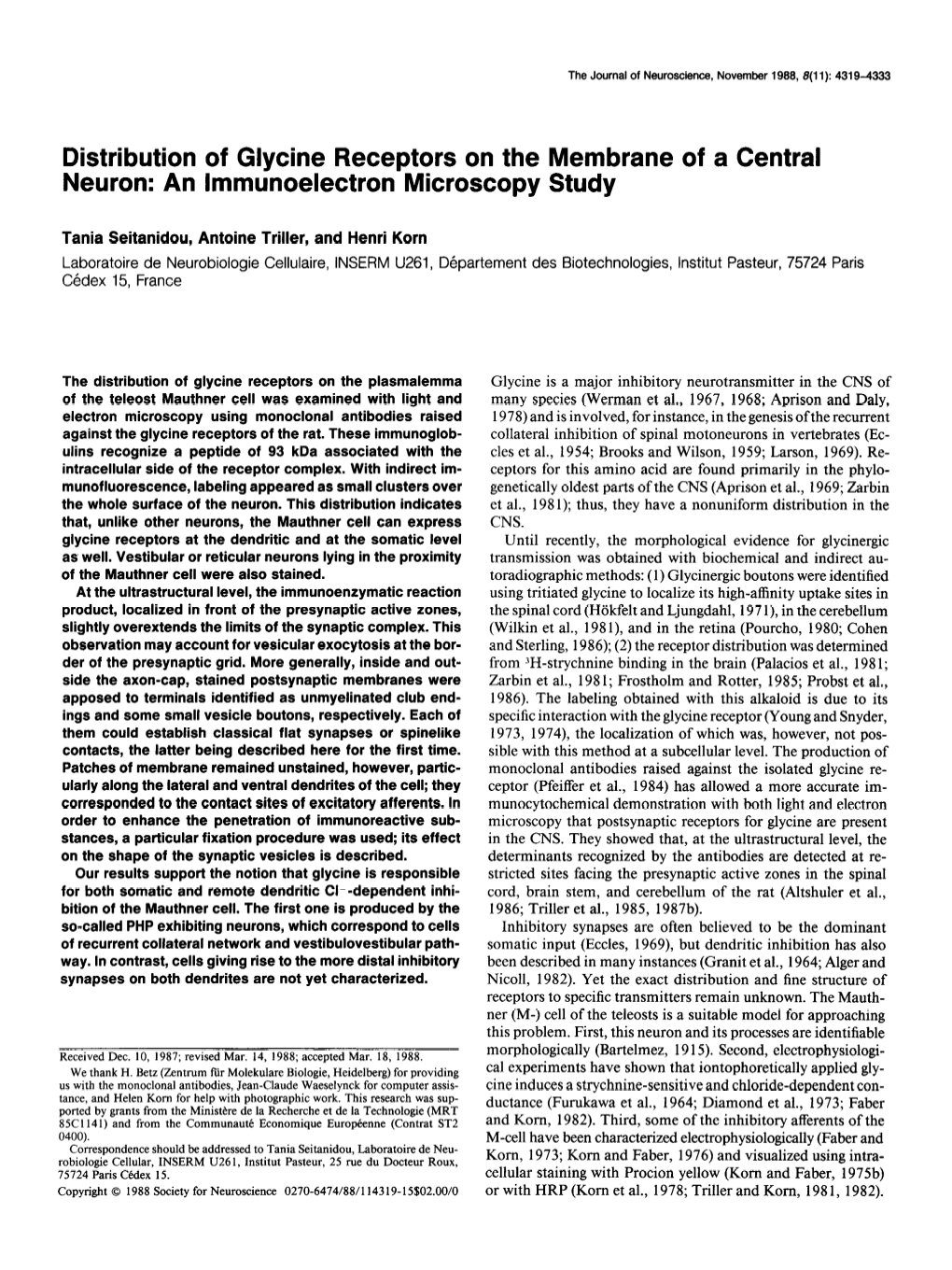 Distribution of Glycine Receptors on the Membrane of a Central Neuron: an Lmmunoelectron Microscopy Study