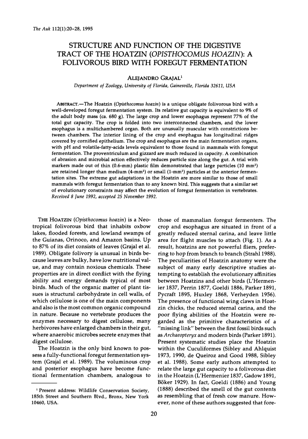 Structure and Function of the Digestive Tract of the Hoatzin (Opisthocomus Hoazin): a Folivorous Bird with Foregut Fermentation