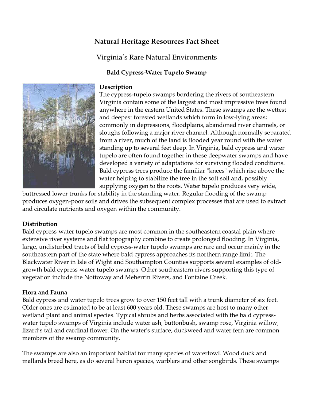 Water Tupelo Swamps Are Most Common in the Southeastern Coastal Plain Where Extensive River Systems and Flat Topography Combine to Create Prolonged Flooding