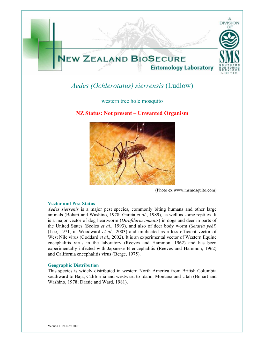 Aedes (Ochlerotatus) Sierrensis (Ludlow)