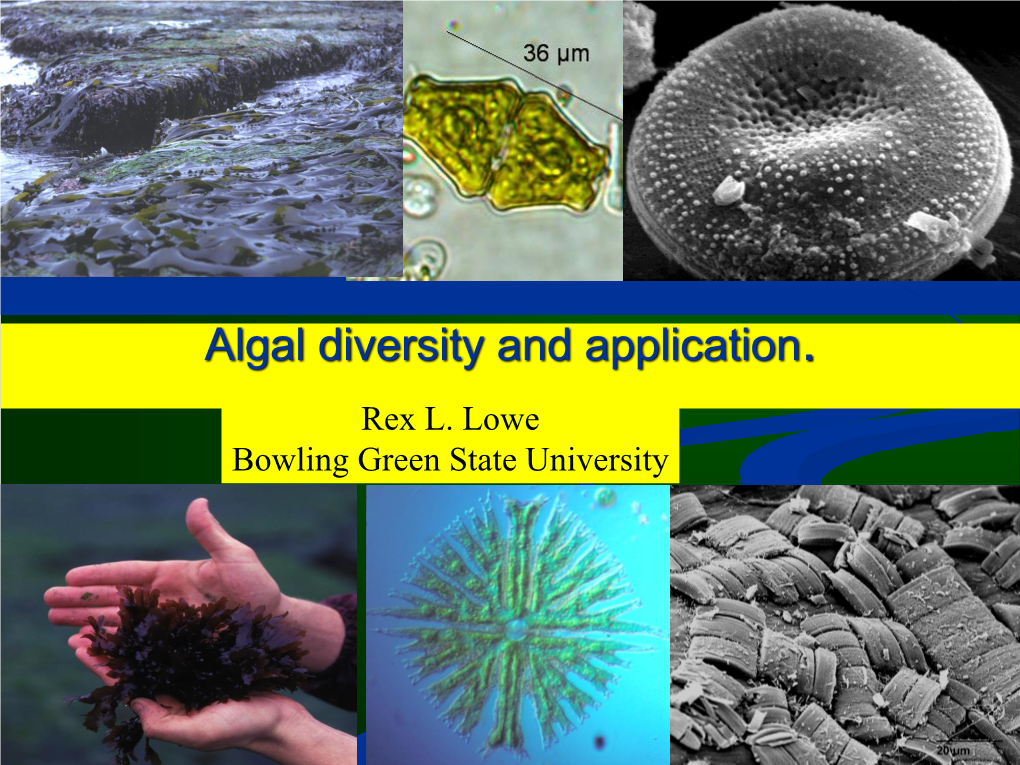 Algal Diversity and Application. Rex L