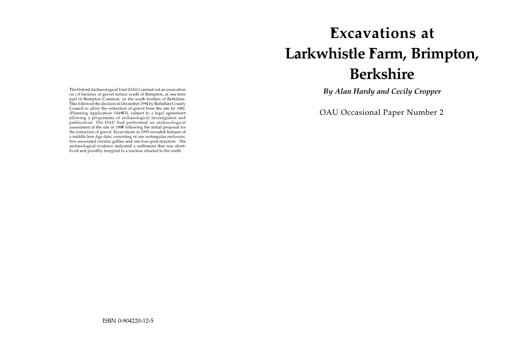 Excavations at Larkwhistle Farm, Brimpton, Berkshire