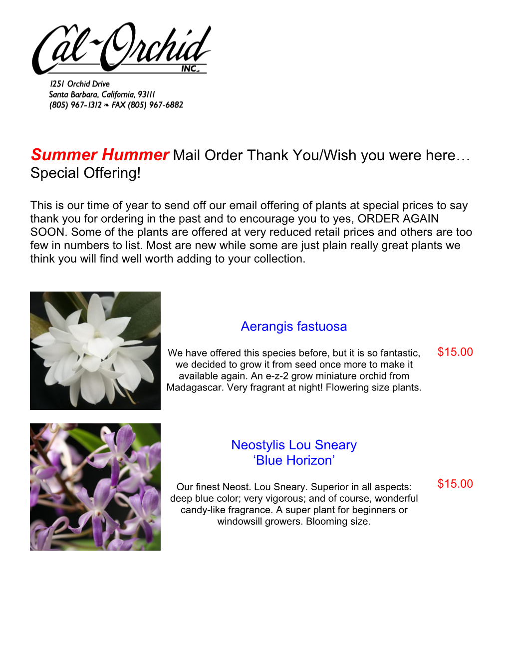 Summer Hummer Mail Order Thank You/Wish You Were Here… Special Offering!