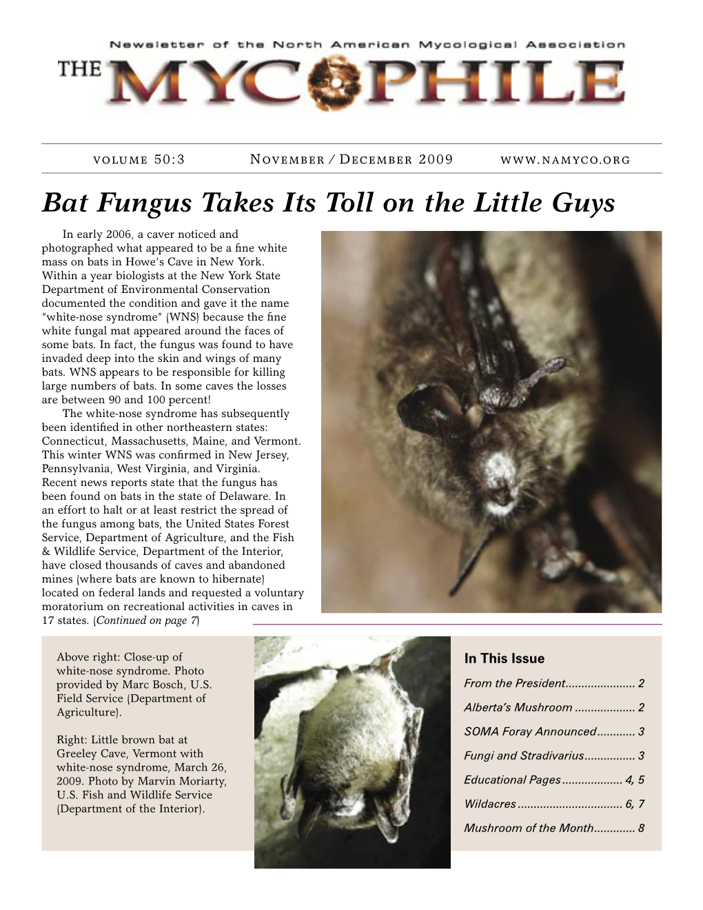 Bat Fungus Takes Its Toll on the Little Guys in Early 2006, a Caver Noticed and Photographed What Appeared to Be a Fine White Mass on Bats in Howe’S Cave in New York