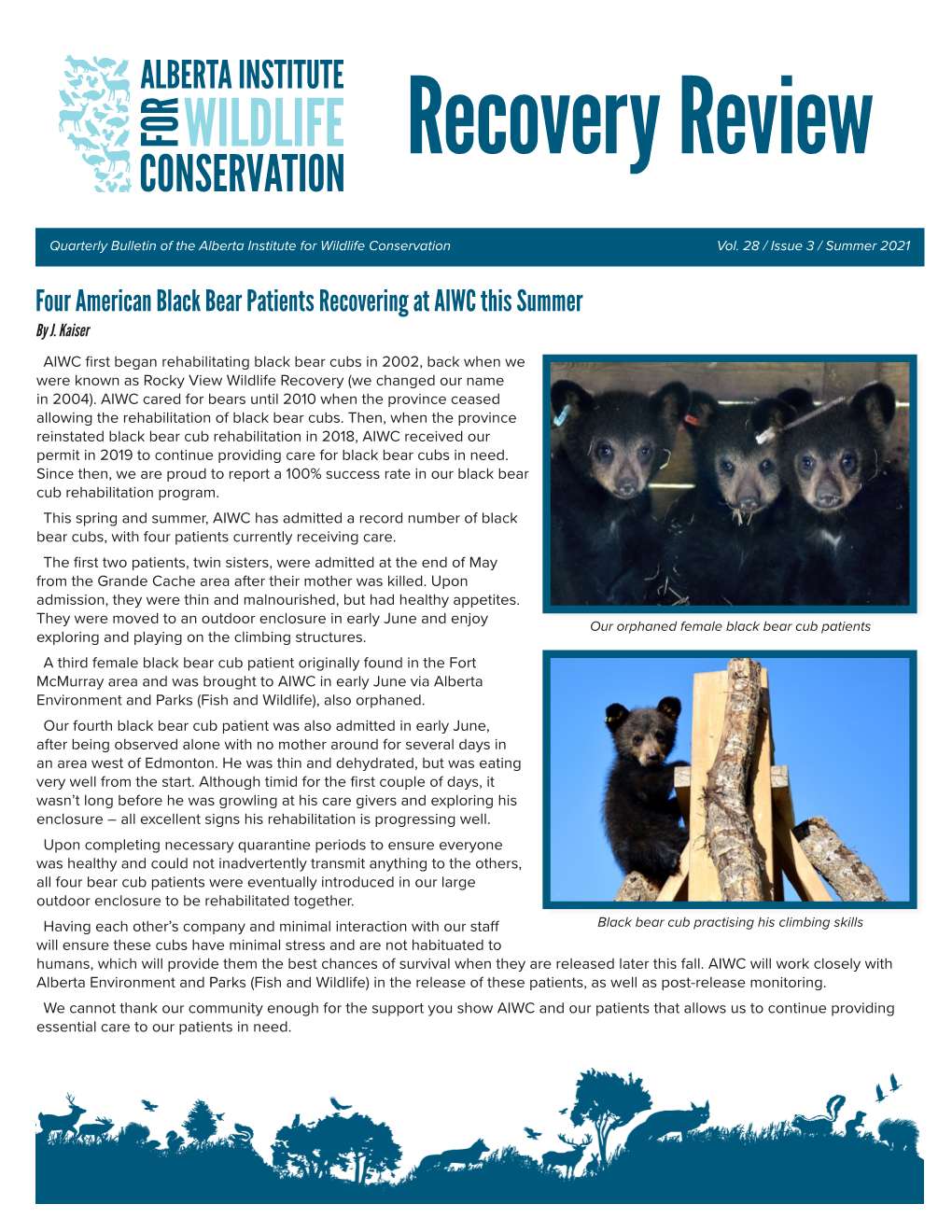 Four American Black Bear Patients Recovering at AIWC This Summer by J
