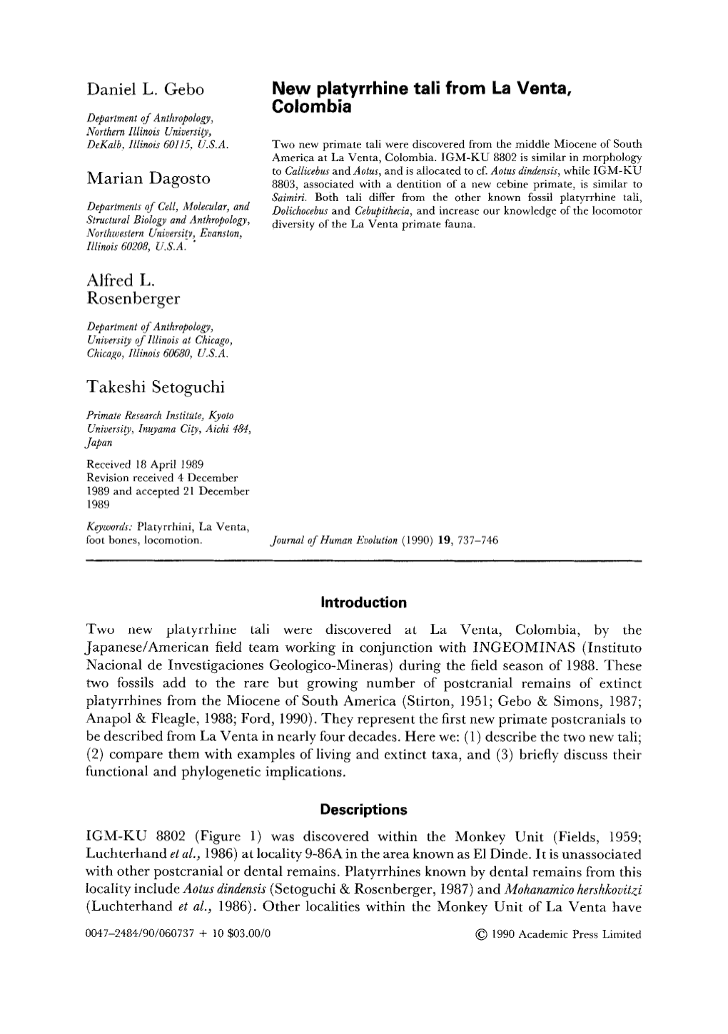 New Platyrrhine Tali from La Venta, Colombia Department of Anthropology, Northern Illinois University, Dekalb, Illinois 60115