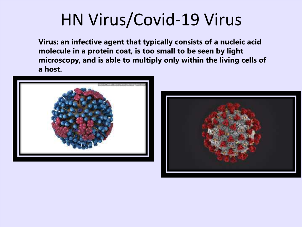 HN Virus/Covid-19 Virus