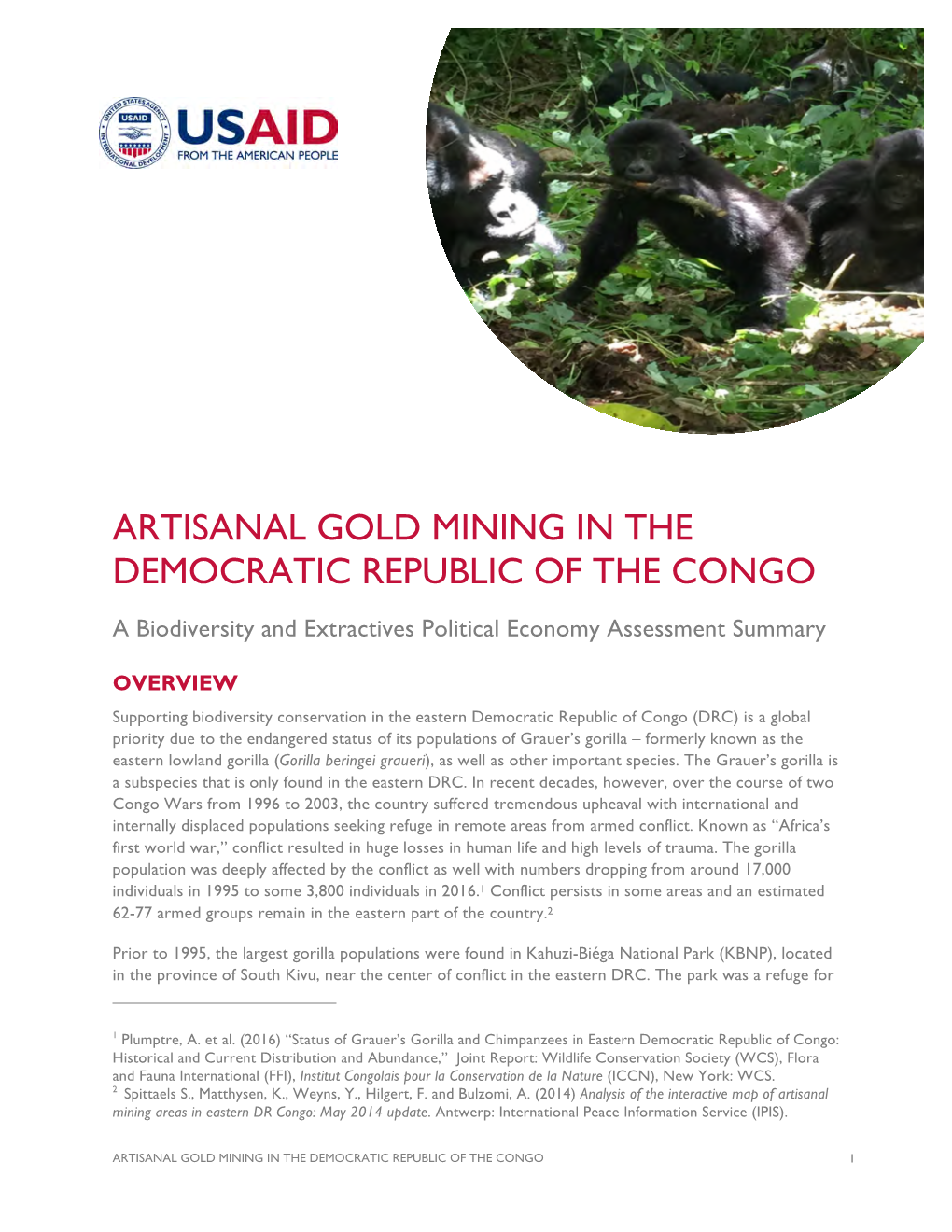 Artisanal Gold Mining in the Democratic Republic of the Congo