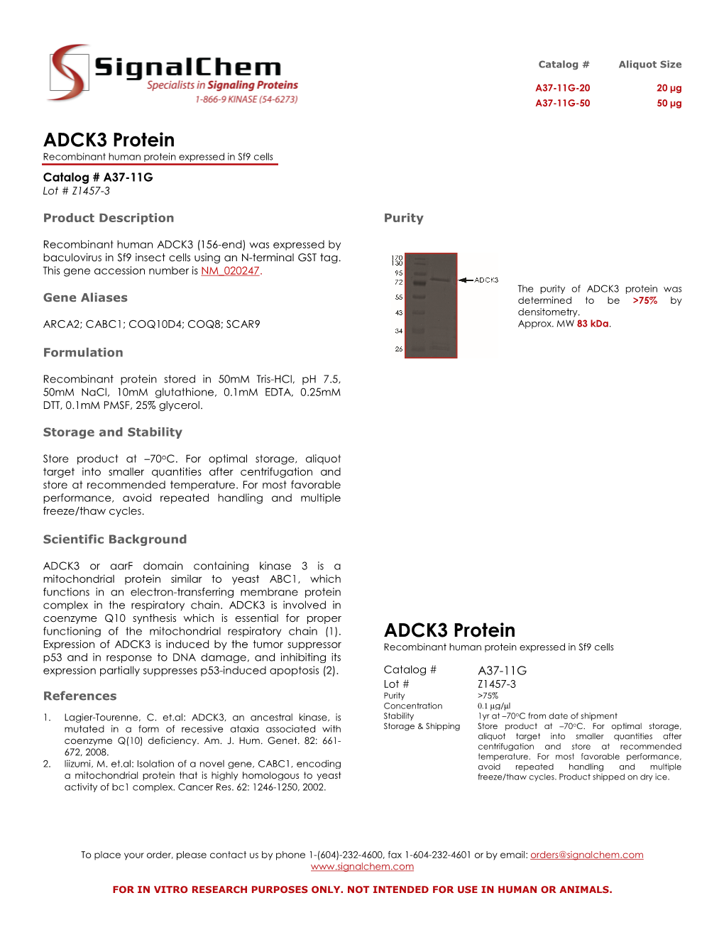 ADCK3 Protein Recombinant Human Protein Expressed in Sf9 Cells