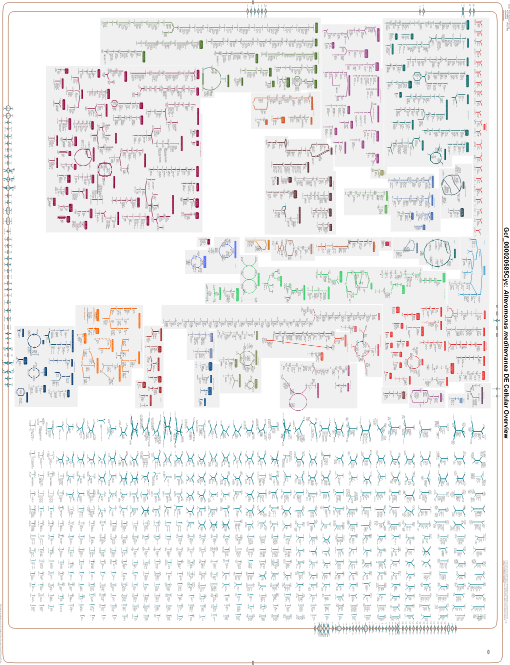 Generated by SRI International Pathway Tools Version 25.0, Authors S