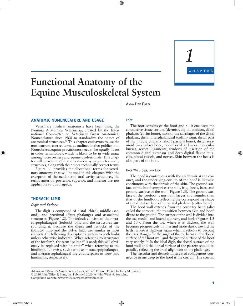 Functional Anatomy of the Equine Musculoskeletal System