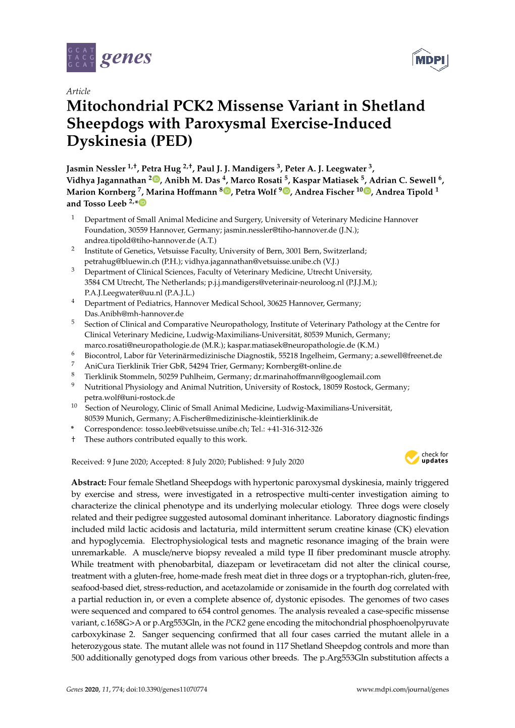Mitochondrial PCK2 Missense Variant in Shetland Sheepdogs with Paroxysmal Exercise-Induced Dyskinesia (PED)