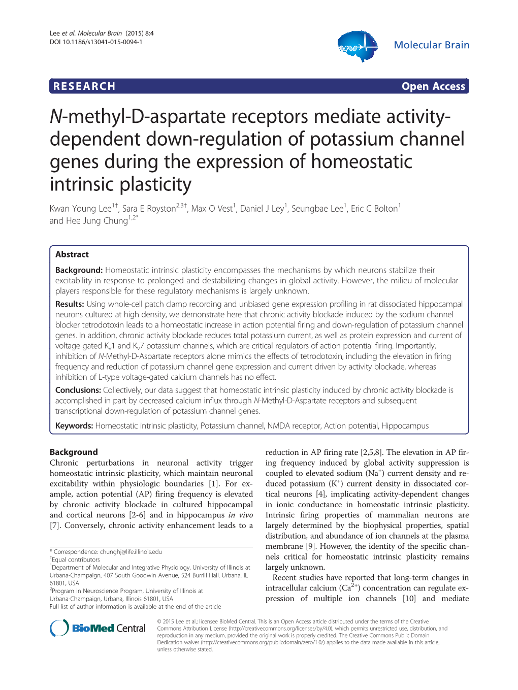 N-Methyl-D-Aspartate Receptors Mediate Activity-Dependent Down