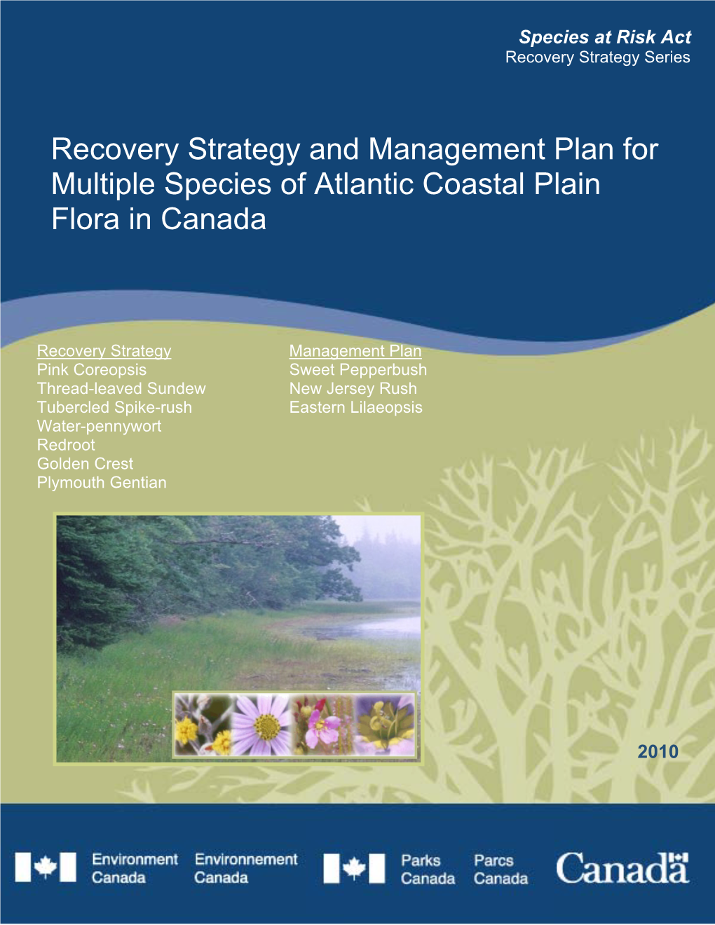 Recovery Strategy and Management Plan for Multiple Species of Atlantic Coastal Plain Flora in Canada