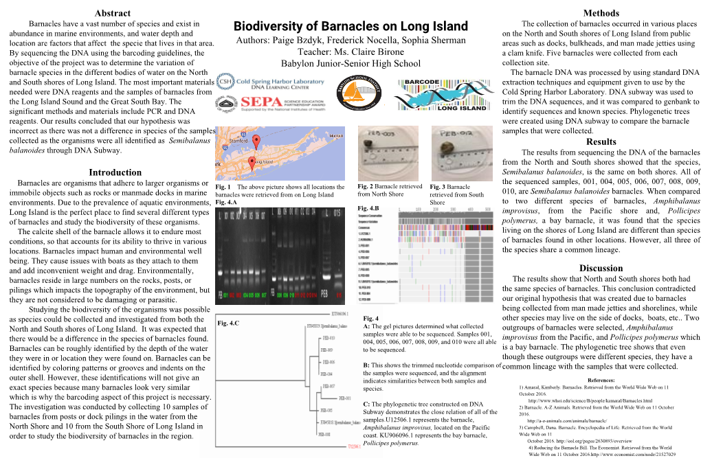 Biodiversity of Barnacles on Long Island on the North and South Shores of Long Island from Public Location Are Factors That Affect the Specie That Lives in That Area