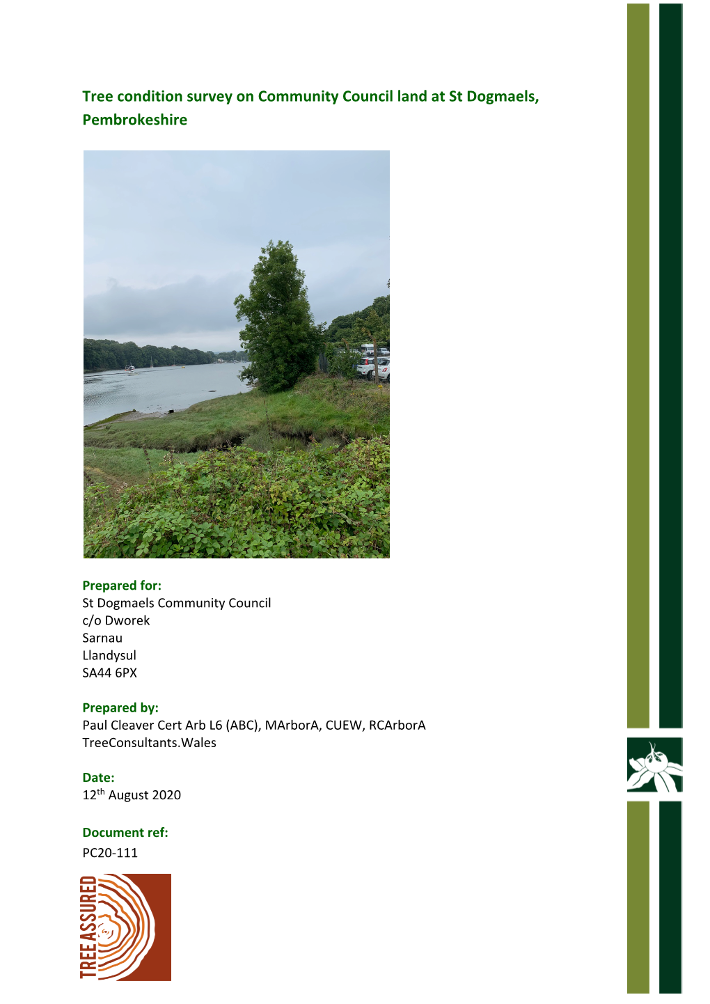 PC20-111 Tree Condition Survey