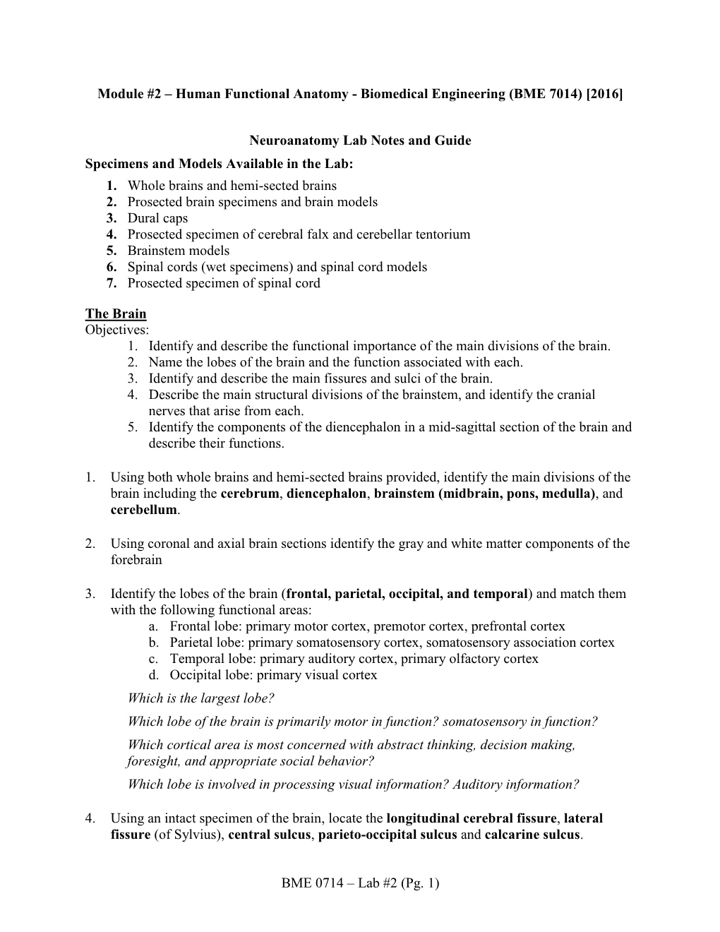 Biomedical Engineering (BME 7014) [2016] Neuroanatomy Lab N