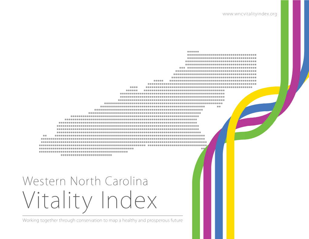 WNC Vitality Index (On-Screen Version)