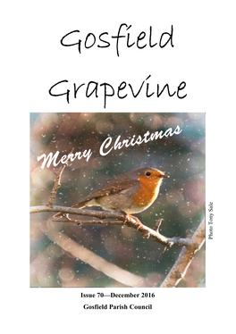 Gosfield Grapevine Magazine and the Village Shop