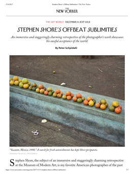 Stephen Shore's Offbeat Sublimities