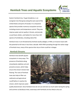 Hemlock Trees and Aquatic Ecosystems
