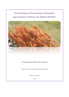 The Challenges of Developing a Sustainable Agro-Industry in Bolivia