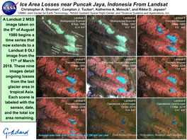 Ice Area Losses Near Puncak Jaya, Indonesia from Landsat Christopher A