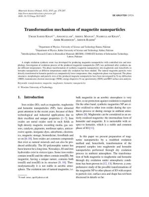 Transformation Mechanism of Magnetite Nanoparticles