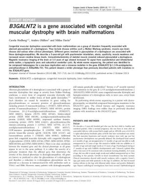 B3GALNT2 Is a Gene Associated with Congenital Muscular Dystrophy with Brain Malformations