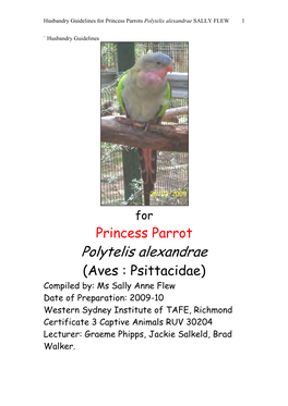 Princess Parrot.Pdf