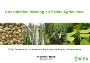 Consultation Meeting on Saline Agriculture