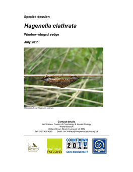 Species Dossier: Hagenella Clathrata