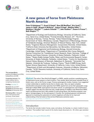 A New Genus of Horse from Pleistocene North America