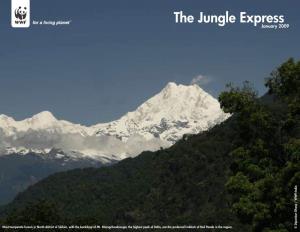 The Jungle Express January 2009