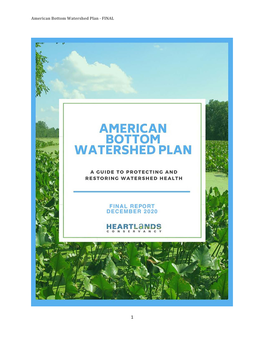 American Bottom Watershed Plan - FINAL
