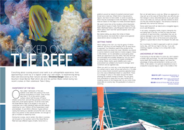 RAINFOREST of the SEA GETTING THERE ANCHORING at the REEF Everything About Cruising Around Coral Reefs Is an Unforgettable Exper