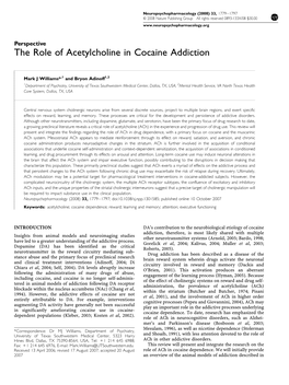 The Role of Acetylcholine in Cocaine Addiction
