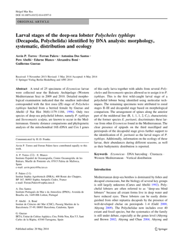 Larval Stages of the Deep-Sea Lobster Polycheles Typhlops (Decapoda, Polychelida) Identiﬁed by DNA Analysis: Morphology, Systematic, Distribution and Ecology
