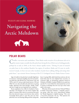 Navigating the Arctic Meltdown