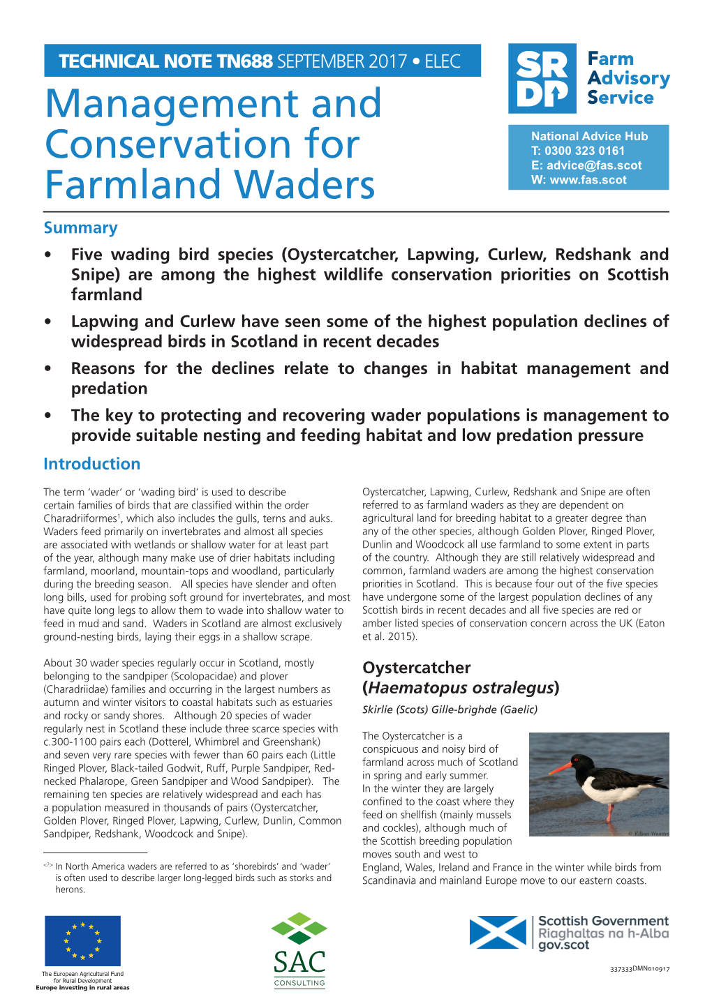 Management and Conservation for Farmland Waders