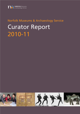 Curator Report 2010-11
