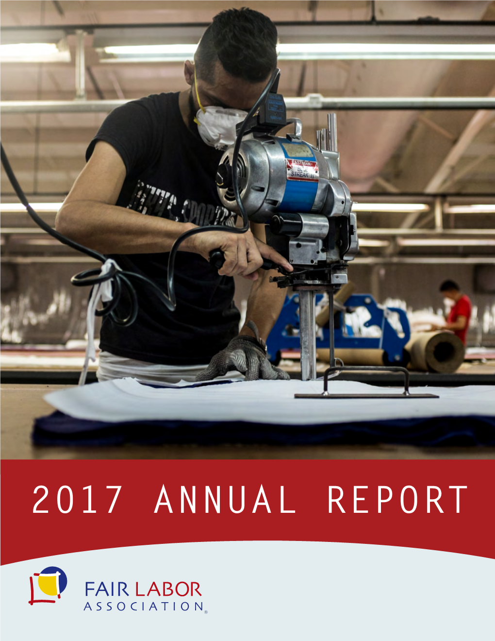 2017 Annual Report 2016 Board of Directors