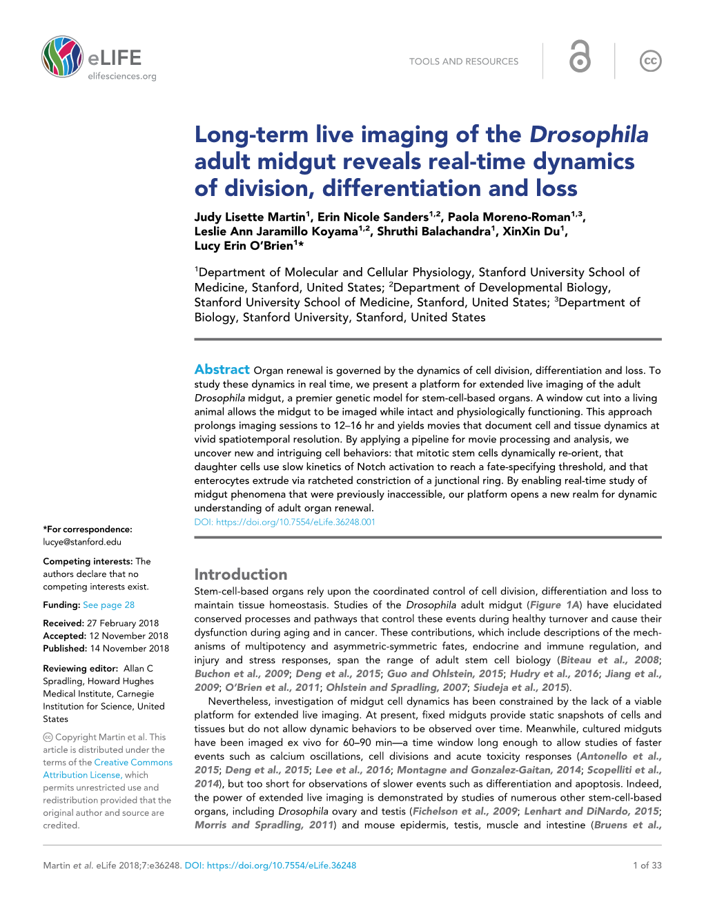 Long-Term Live Imaging of the Drosophila Adult Midgut Reveals