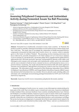 Assessing Polyphenol Components and Antioxidant Activity During Fermented Assam Tea Ball Processing