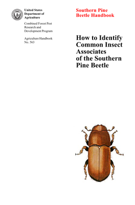 Common Associates of the Southern Pine Beetle