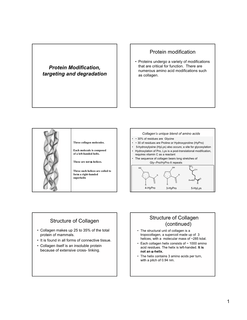 Protein Modification, Targeting and Degradation Protein Modification