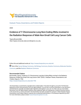 Evidence of Y Chromosome Long Non-Coding Rnas Involved in the Radiation Response of Male Non-Small Cell Lung Cancer Cells