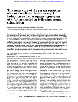 The Inner Core of the Serum Response Element Mediates Both the Rapid Induction and Subsequent Repression of C-Los Transcription Following Serum Stimulation